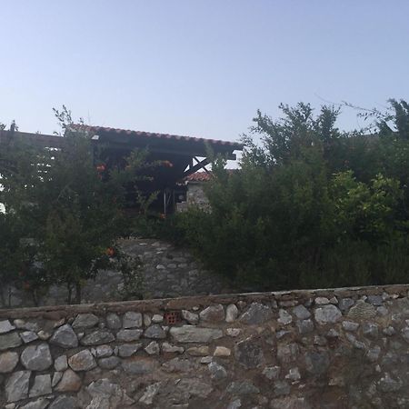 Lagadi 1860 ξενώνας Trakhila Εξωτερικό φωτογραφία